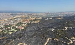 Çanakkale'deki orman yangınları: Köyün yarısı yandı