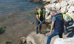 Bakanlık açıkladı! Çevreyi kirletenlere 2.6 milyar TL ceza