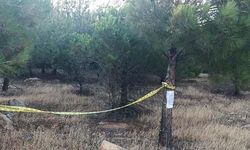 Gaziantep'te, ormanlara girişler yasaklandı
