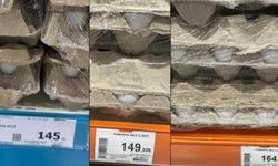 Yumurta fiyatı yeniden yükselişe geçti! Nedeni belli oldu