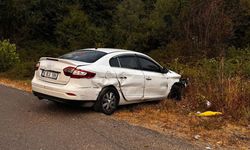 Bursa'da otomobil bariyerlere çarpıp tarlaya uçtu