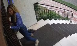 Minik kediler Bursa’da kadının peşini bırakmadı