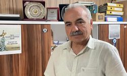 Genç kızılçam ormanında 1 hektar kaybın bedeli 600 bin lira