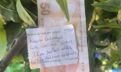 Bursa'da şeftali bahçesinde duygulandıran not