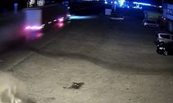 2 kişinin öldüğü kaza güvenlik kamerasında