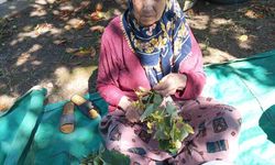 81 yaşındaki kadın her yerde aranıyor