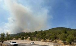 Adıyaman’da orman yangını
