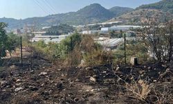 Alanya’da otluk alanda çıkan yangın büyümeden söndürüldü