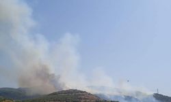 Aliağa’da makilik alanda yangın