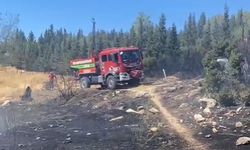 Aliağa’da ormanlık alanda çıkan yangın hızlı müdahale ile söndürüldü
