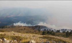 Amasya’da orman yangını: 35 hektar alan zarar gördü
