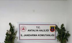 Antalya’da uyuşturucu operasyonu