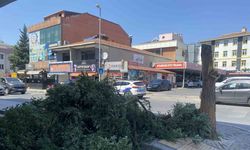 Ataşehir’de kuvvetli rüzgar ağacı devirdi, bina girişini kapattı