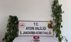 Aydın’da uyuşturucu operasyonu: 13 şüpheli yakalandı