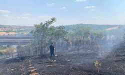 Babaeski’de ağaçlık alanda çıkan yangın söndürüldü