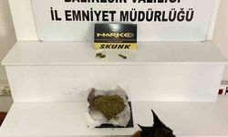 Balıkesir’de 485 gram esrar ele geçirildi