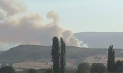 Balıkesir’de orman yangını
