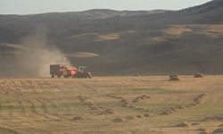 Bayburt’un Çayırköprü köyünde 194 balya ot çalındı