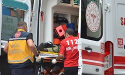 Bilecik’te hafif ticari araç ile otomobil çarpıştı, 2 yaralı