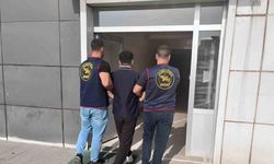 Bingöl’de kesinleşmiş hapis cezası bulunan zanlı yakalandı