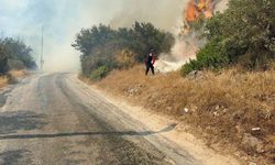 Bodrum’da yangın: Havadan ve karadan müdahale sürüyor