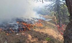 Bolu’da orman yangını: Havadan ve karadan müdahale sürüyor