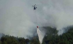 Bolu’daki orman yangını kısmen kontrol altında: 2 gözaltı