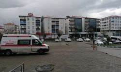 Bulanık’ta elektrik akımına kapılan 1 kişi öldü, 1 kişi yaralandı