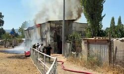 Bursa’da hayvan damı yandı: 1 at, 2 keçi telef oldu