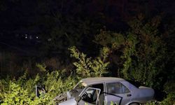Bursa’da kontrolden çıkan otomobil şarampole uçtu: 2 yaralı