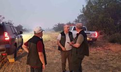 Çanakkale Valisi Toraman yangından etkilenen köyde incelemelerde bulundu