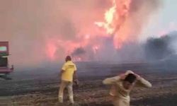 Çanakkale’de alev savaşçılarının zorlu mücadelesi kamerada
