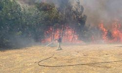 Çanakkale’de orman yangınına havadan ve karadan müdahale ediliyor