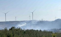 Çanakkale’de orman yangınına müdahale kapasitesi arttırıldı