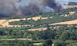 Çanakkale’de tarım arazisinde başlayan yangın ormanlık alana sıçradı
