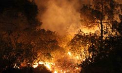 Çanakkale’de yangın etkisini sürdürüyor... Ekiplerin müdahalesi gece de sürüyor