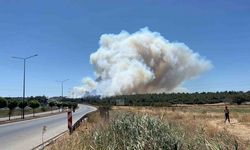 Çanakkale’deki yangında tedbir amaçlı Güzelyalı bölgesindeki vatandaşlar tahliye ediliyor