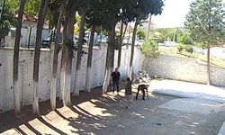 Belediye Başkanı taş döşemek istemeyen zabıtaları sopayla dövdü