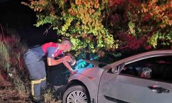 Çorum’da kontrolden çıkan otomobil ağaca çarptı: 2 yaralı