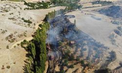 Çorum’da tarlada çıkan yangın kontrol altına alındı, 1 kişi yaralandı