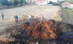Çorum’da tarlada çıkan yangında 300 adet balya kül oldu