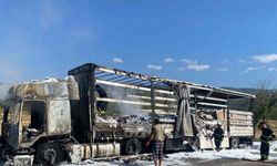 D100’de seyir halindeki tır alev alev yandı