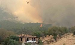Denizli-Aydın il sınırında 4 gündür devam eden yangında bir köy tahliye ediliyor