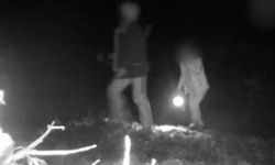 Denizli’de 3 kaçak avcı gece avında fotokapanla yakalandı