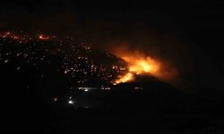 Denizli’de orman yangınına gece karadan müdahale sürüyor