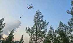 Denizli’de sarp bölgede çıkan orman yangını kontrol altına alındı