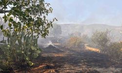 Didim’de makilik ve zeytinlik yangını korkuttu