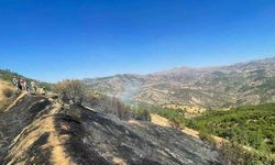 Diyarbakır’da üç farklı noktada çıkan yangınlar kontrol altına alındı