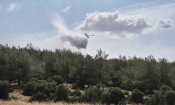Edirne’de çıkan yangın ormanlık alana sıçradı: Havadan ve karadan müdahale ediliyor