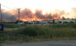 Edirne’de tarlada çıkan yangın ormanlık alana doğru ilerliyor